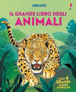 Immagine 1